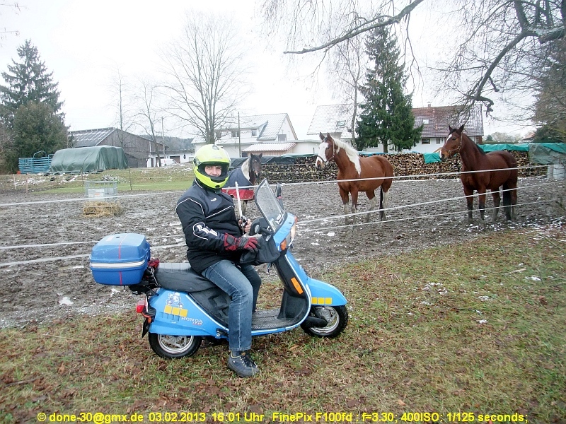 2013_02_03_so_02_003_pferdestaerken.jpg