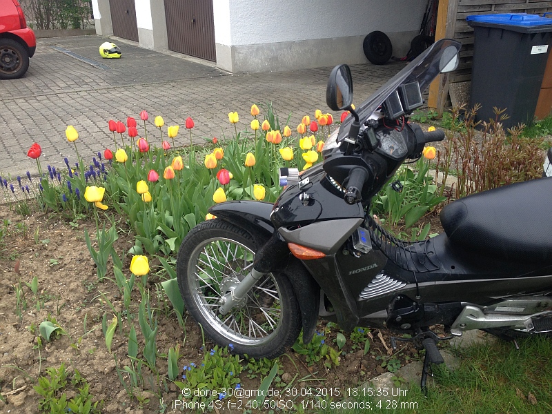 2015_04_30_do_02_008_tulpen.jpg