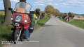 2025_04_26_sa_01_115_honda_innova_hohem_demzin