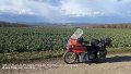 2026_03_30_mo_01_077_honda_innova_bei_finkenfeld_ueber_neckarelz