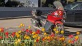 2026_04_24_fr_02_009_honda_innova_im_fruehling