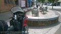 2017_05_28_so_01_303_lockerbie_zentrum_sheep_statues
